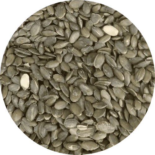 Geröstete Kürbiskerne ohne Salz