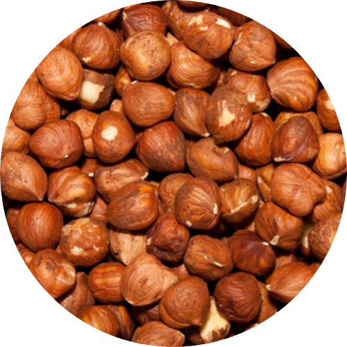 braune rohe Haselnüsse