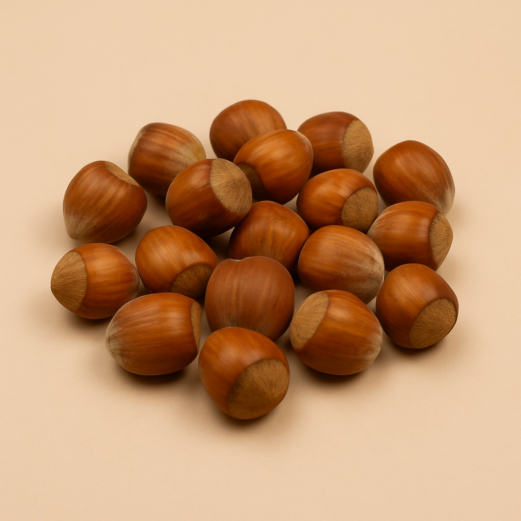 Haselnüsse in der Schale