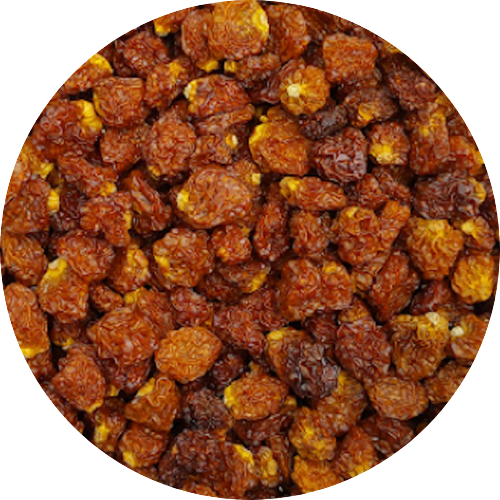 Inka-Beeren