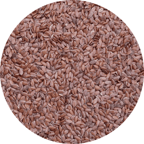 Ganze Leinsamen