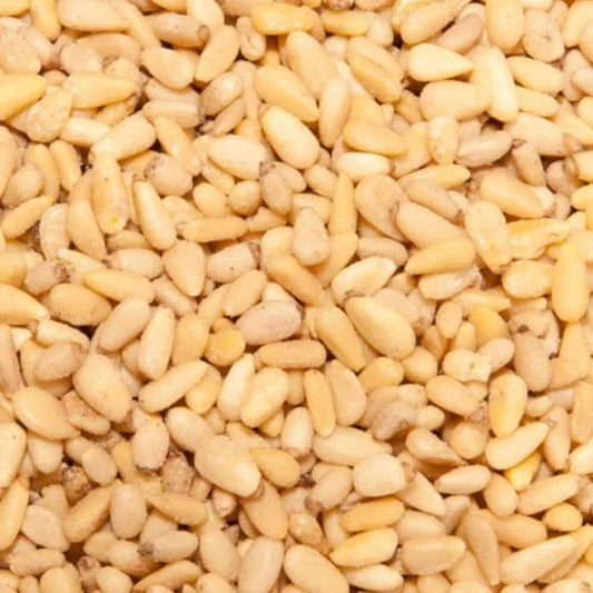 Pinienkerne